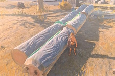 彼岸島作者・松本光司先生が『ゼルダの伝説 ティアキン』を遊び始める―早速「丸太」を見つけてご満悦 画像