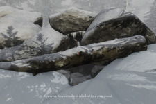 GOG.comにて19世紀のカナダ舞台のポイントクリックADV『The Whisperer』無料配布中―日本時間11月2日8時まで 画像