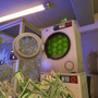 “資金洗浄”シム『Cash Cleaner Simulator』が初週で売上10万本突破！最大同接1万人、レビュー“非常に好評”と好調スタート
